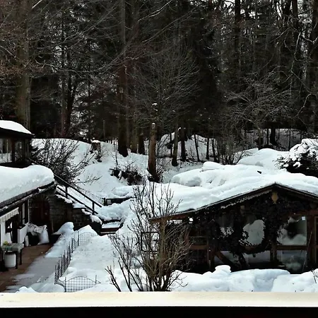 Lejlighed Renate Grainau